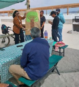 Imagen8
