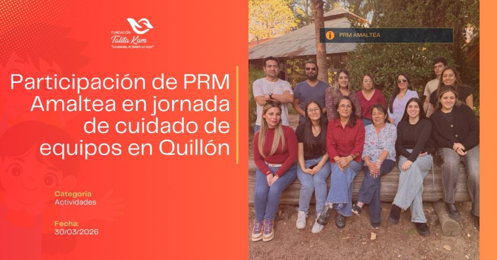 Participación de PRM Amaltea en jornada de cuidado de equipos en Quillón